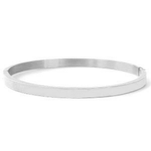 Roestvrij stalen (RVS) stainless steel armbanden Zilver