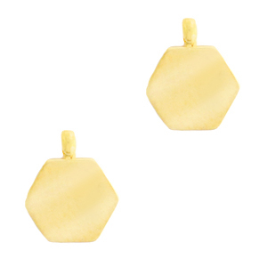 Roestvrij stalen (RVS) Stainless steel bedels hexagon Goud