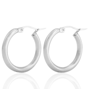 Roestvrij stalen (RVS) Stainless steel oorbellen creolen Zilver