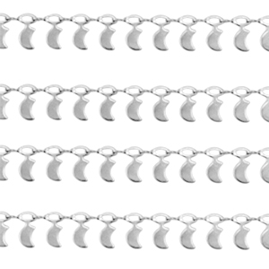 Roestvrij stalen (RVS) Stainless steel onderdelen jasseron maan Zilver