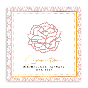 Sieraden kaartjes Birth flower January-Carnation Red