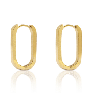 Roestvrij stalen (RVS) Stainless steel oorbellen oval Goud