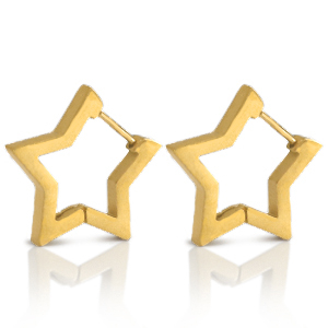 Roestvrij stalen (RVS) Stainless steel oorbellen star Goud