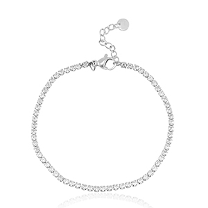 Roestvrij stalen (RVS) Stainless steel armbanden Zilver-crystal