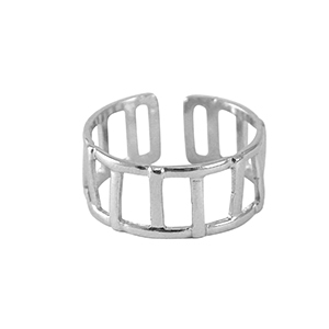 Roestvrij stalen (RVS) Stainless steel ringen Silver