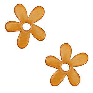 Polaris Lucido hangers bloem Carrot orange