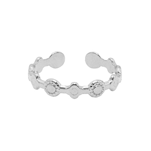 Roestvrij stalen (RVS) Stainless steel ringen Zilver