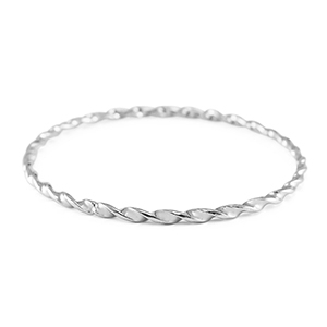Roestvrij stalen (RVS) stainless steel armbanden twisted Silver