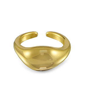 Roestvrij stalen (RVS) Stainless steel ringen druppel Gold