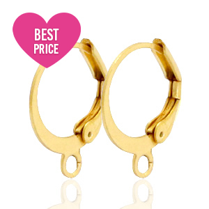 Roestvrij stalen (RVS) stainless steel sluitbare oorhangers met oog Goud