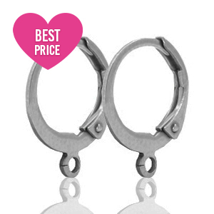 Roestvrij stalen (RVS) stainless steel sluitbare oorhangers met oog Silver