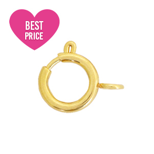 Roestvrij stalen (RVS) Stainless steel onderdelen slotje 6x8mm Goud