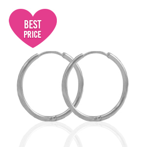 Roestvrij stalen (RVS) Stainless steel oorbellen creolen 17mm Silver