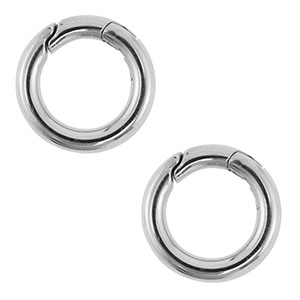 Roestvrij stalen (RVS) Stainless steel onderdelen clasp rond Silver