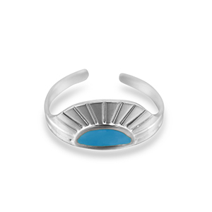 Roestvrij stalen (RVS) Stainless steel ringen waaier Silver-blue