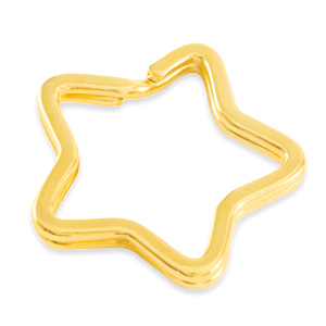Onderdelen DQ metaal sleutelhanger ster Goud (nikkelvrij)