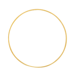 Onderdelen DQ metaal dichte ring 30mm Goud (nikkelvrij)