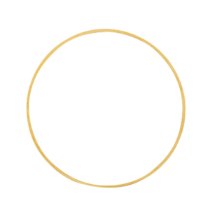 Onderdelen DQ metaal dichte ring 25mm Goud (nikkelvrij)