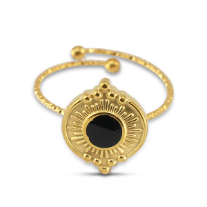 Roestvrij stalen (RVS) Stainless steel ringen enamel rond Gold-black