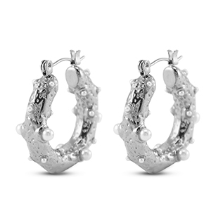 Roestvrij stalen (RVS) Stainless steel oorbellen / oorstekers Silver