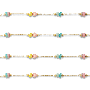 Roestvrij stalen (RVS) Stainless steel onderdelen jasseron disc Gold-multicolour