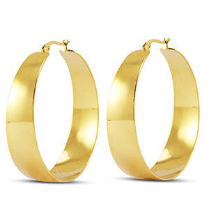 Roestvrij stalen (RVS) Stainless steel oorbellen / creolen Gold