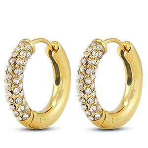 Roestvrij stalen (RVS) Stainless steel oorbellen / creolen Gold