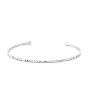 Roestvrij stalen (RVS) Stainless steel armbanden bangle Silver