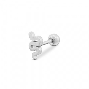 Roestvrij stalen (RVS) Stainless steel oorpiercing slang Silver