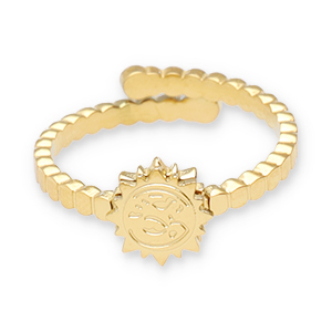 Roestvrij stalen (RVS) Stainless steel ringen Goud