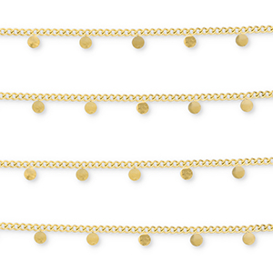 Roestvrij stalen (RVS) Stainless steel onderdelen jasseron met muntjes Gold