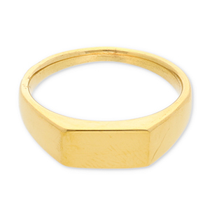 Roestvrij stalen (RVS) Stainless steel ringen met rechthoek Gold