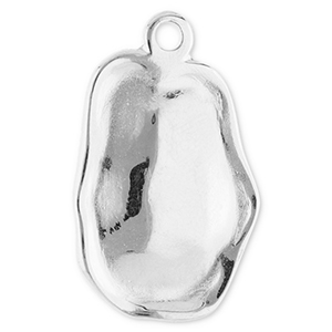 Roestvrij stalen (RVS) Stainless steel bedels irregular Silver