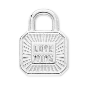 Roestvrij stalen (RVS) Stainless steel bedels slot "love wins" Silver