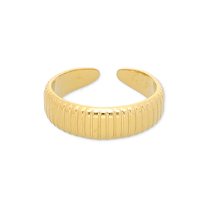 Roestvrij stalen (RVS) Stainless steel ringen met lijnen Gold