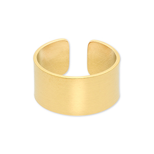 Roestvrij stalen (RVS) Stainless steel ringen Gold