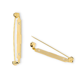 Roestvrij stalen (RVS) Stainless steel onderdelen brochespeld Gold