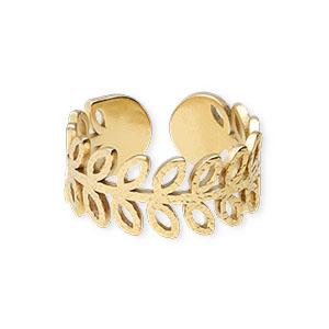 Roestvrij stalen (RVS) Stainless steel ringen Goud