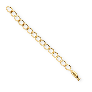 BY31&reg; Roestvrij stalen (RVS) stainless steel onderdelen verlengketting set vis Gold