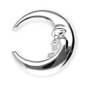 Roestvrij stalen (RVS) Stainless steel statement broches maan Silver