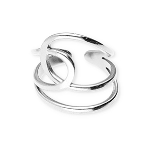 Roestvrij stalen (RVS) Stainless steel ringen Silver
