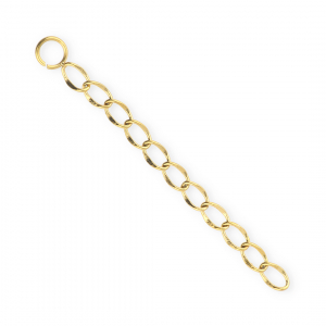 BY31&reg; Roestvrij stalen (RVS) Stainless steel jasseron bedels gourmetschakel Gold