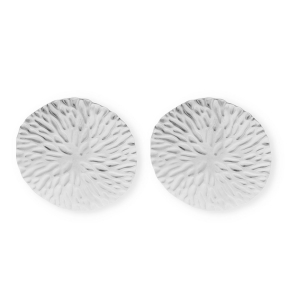 Roestvrij stalen (RVS) Stainless steel onderdelen oorbellen&nbsp;/&nbsp;oorstekers rond met oogje Silver