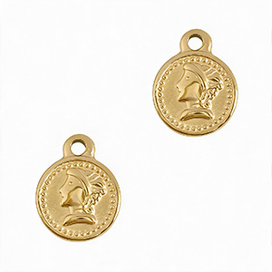 Roestvrij stalen (RVS) Stainless steel bedels muntje Goud