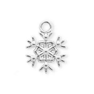 Roestvrij stalen (RVS) Stainless steel bedels sneeuwvlok Silver