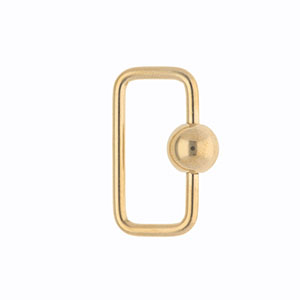 Roestvrij stalen (RVS) stainless steel onderdelen slot rechthoek Gold
