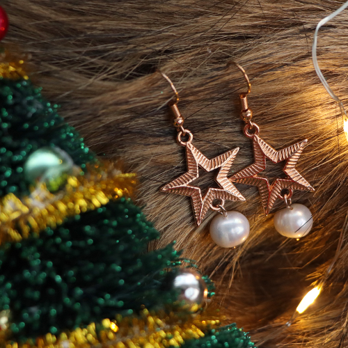 Get inspired! Bekijk hier hoe je oorbellen en armbanden maakt in een kerst/winter sfeer: 