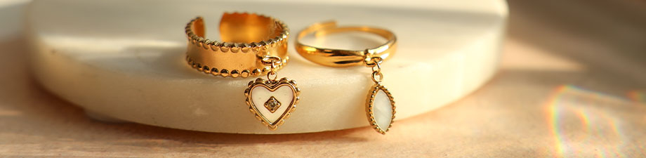 Nieuwe schitterende roestvrij stalen schelp bedels Nieuwe schitterende roestvrij stalen schelp bedels